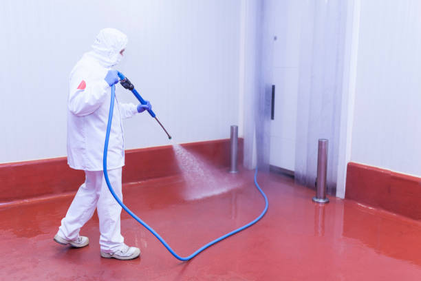 Best Boat and Dock Cleaning  in Fairview, GA